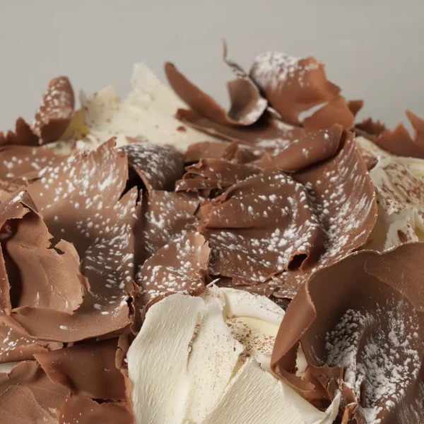 CHOCOAREQUIPE MIX Guernika 2