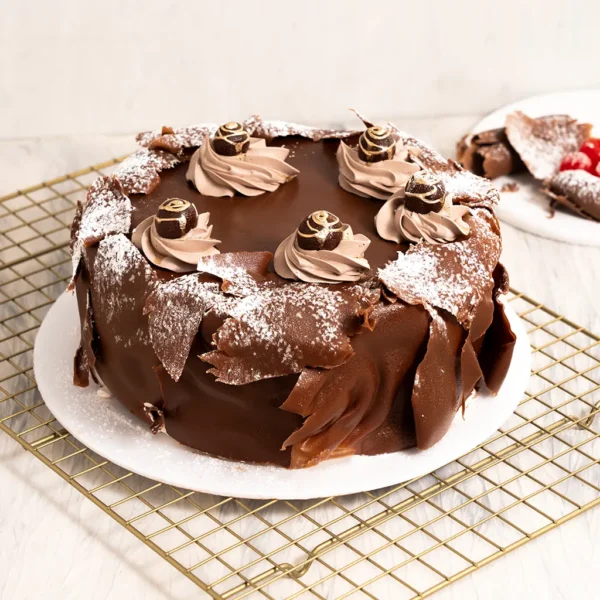 SELVA NEGRA Guernika 1