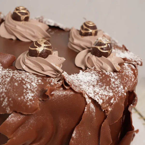 SELVA NEGRA Guernika 2