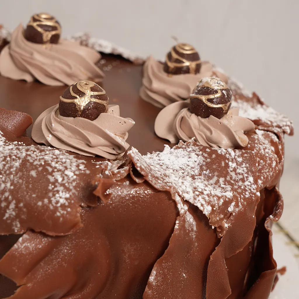 SELVA NEGRA Guernika 2